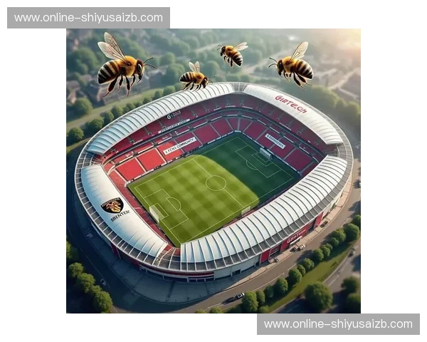 数据英超APP:用数据点亮你心中的球场梦