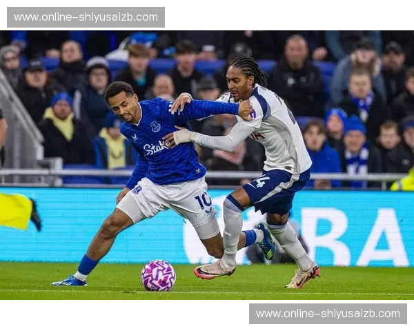 诺维奇vs埃弗顿:英超赛场上的宿命对决,绿茵传奇的碰撞与回响